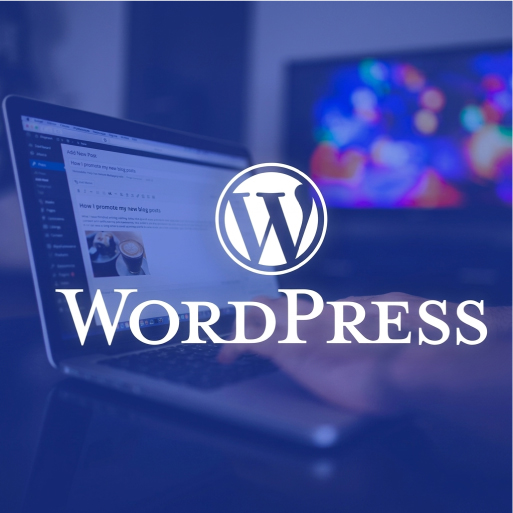 WordPress Themes
